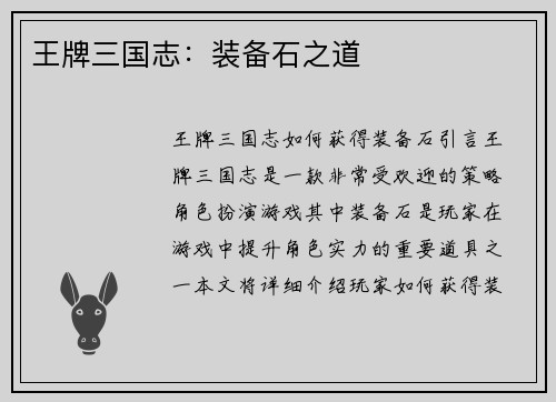 王牌三国志：装备石之道