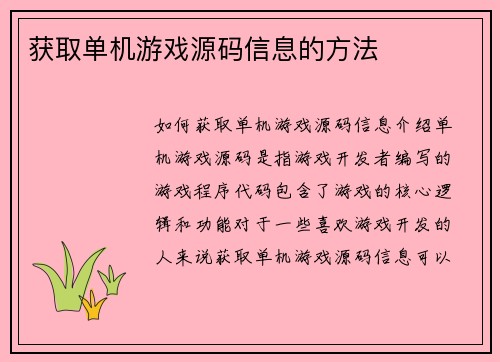 获取单机游戏源码信息的方法