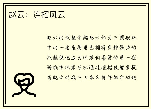 赵云：连招风云